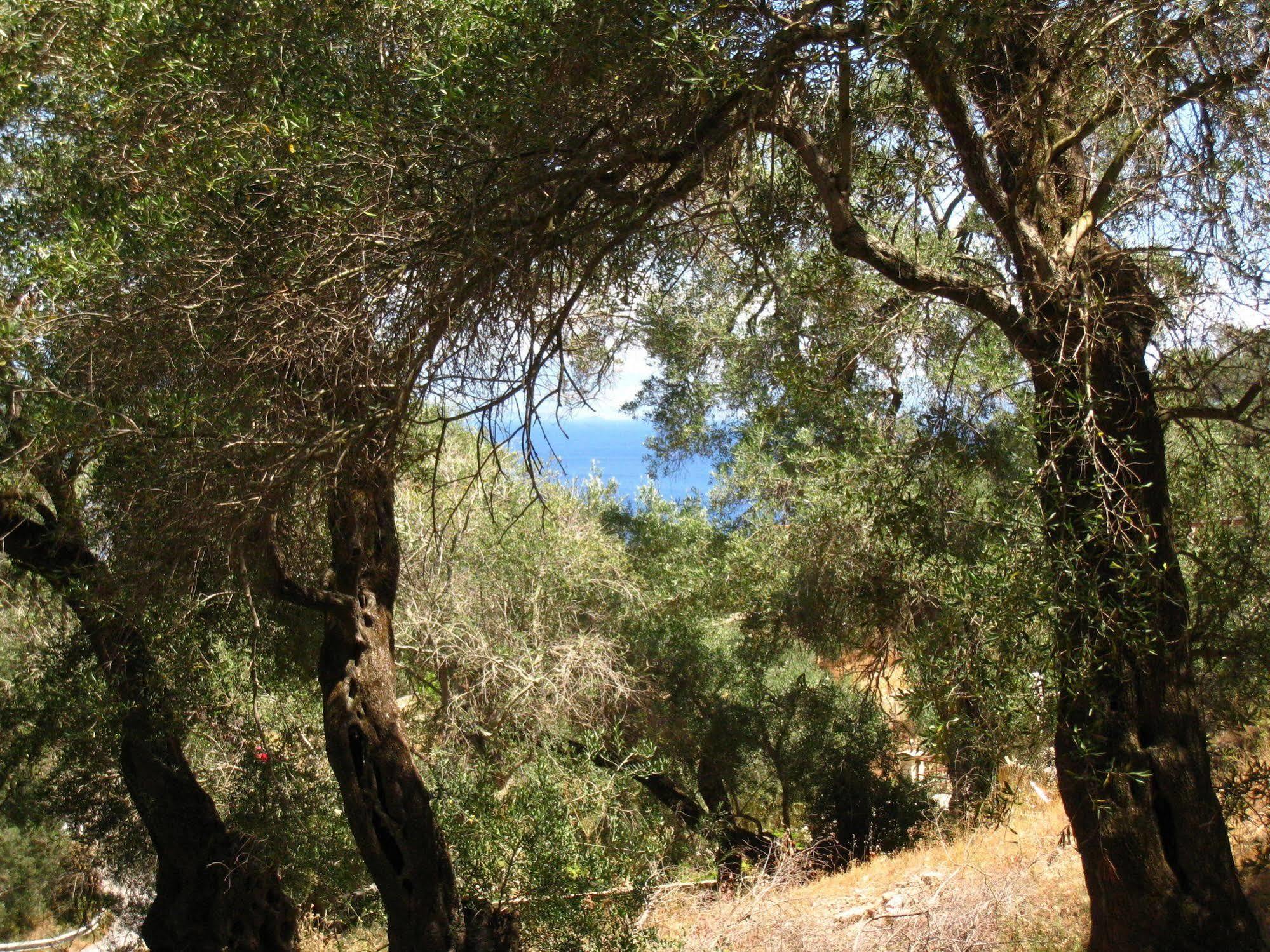 Adamantia Hotel Gaios Luaran gambar