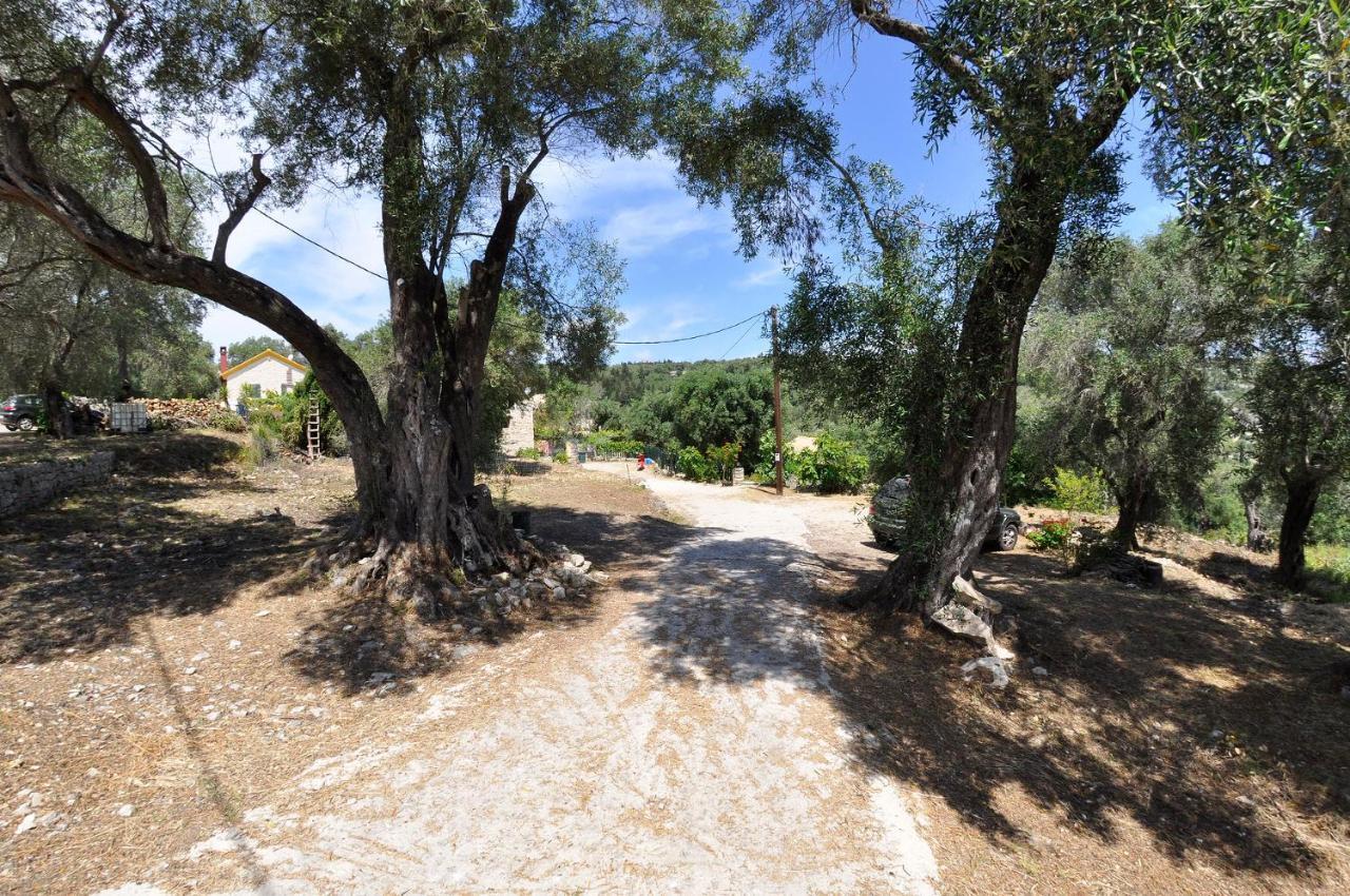 Adamantia Hotel Gaios Luaran gambar